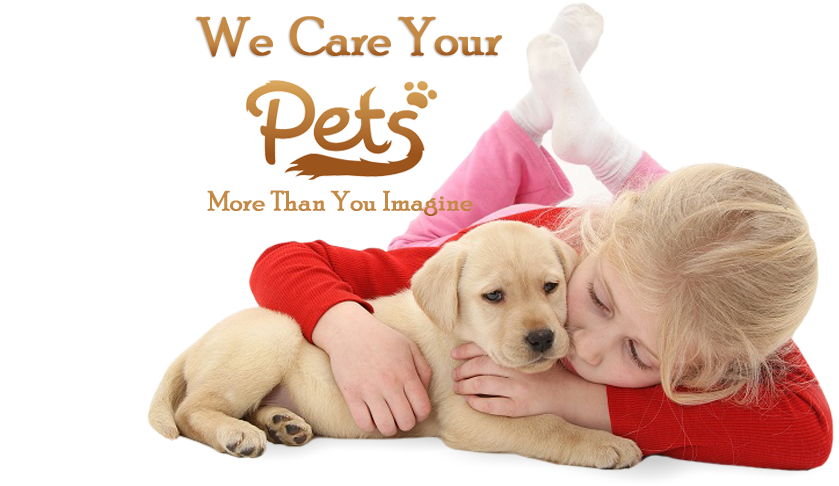 we care your pets