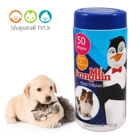 دستمال مرطوب پنگوئن