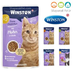 پوچ گربه وینستون جدید