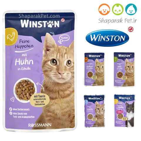 پوچ گربه وینستون جدید