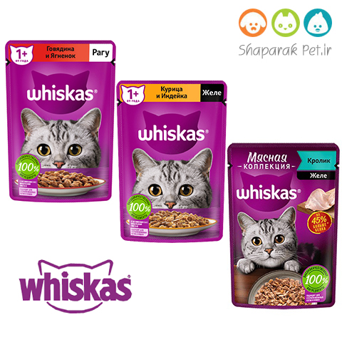 پوچ گربه بالغ ویسکاس روسی