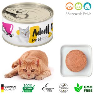 پته گربه فیفورا گوشت مرغ 100 گرمی