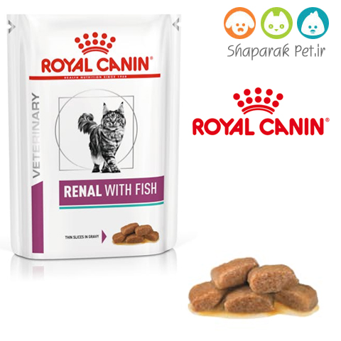 پوچ گربه رنال رویال کنین درمانی ماهی