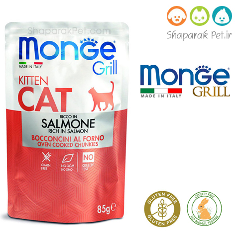 پوچ بچه گربه مونژه ایتالیا